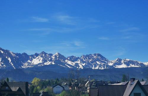 Apartament Górski Potok Murzasichle Apartamenty Murzasichle PL - Foto 76