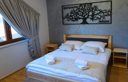 Apartamenty pod Dębami - noclegi Beskid Niski - Foto 34