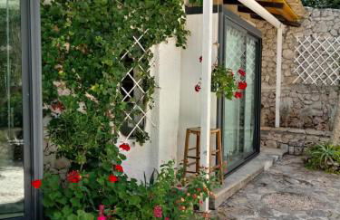 Limonaia in Salento - Foto 16