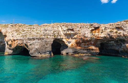 La payara di nonna nina - Foto 13