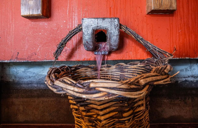 Casas da Luz - Casa da Latada by Homie - Foto 30