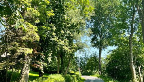 Hus inne Sünn - Foto 2