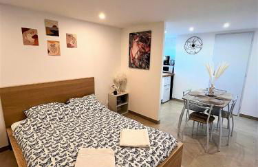 Studio Le Plum'Art, 10mn Zoo de Beauval avec jardin - Foto 11