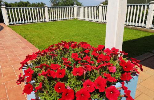 Nel verde del Villaggio - Casetta Celeste - Foto 24