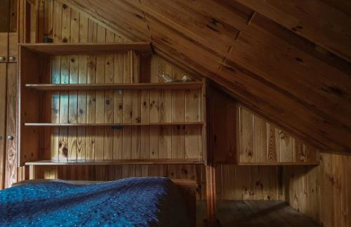 Kałamunka - Foto 46