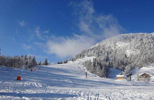 Appartement cosy à Bussang - Foto 4