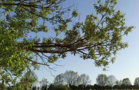 Ferienwohnung im Grünen - Hof Blohme - Foto 36