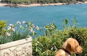 The Stables @ Higher Stancombe Farm - Foto 23