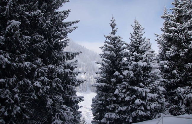 Shymbulak Resort House - Photo 68