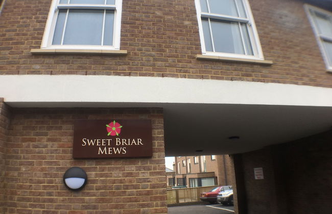 Briar Mews - Foto 35