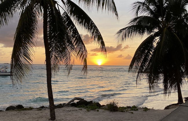 The Royal Bliss Barbados - Foto 36