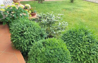 Studio appartman Iva - Photo 9