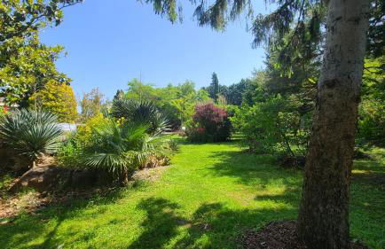 Reflet De PROVENCE dans cadre de verdure avec piscine chauffée - Photo 6
