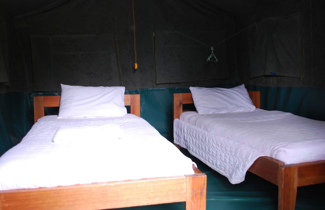 Crater Bay Cottages - Photo 18