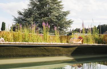 Wellnessoase Nordschwarzwald - Foto 71