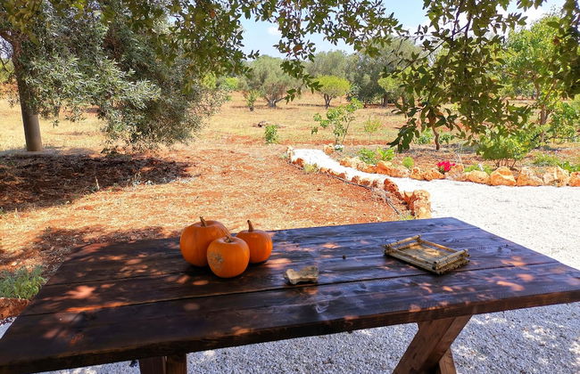 Trullo Madia with Shared Hot Tub in Nature - Foto 69