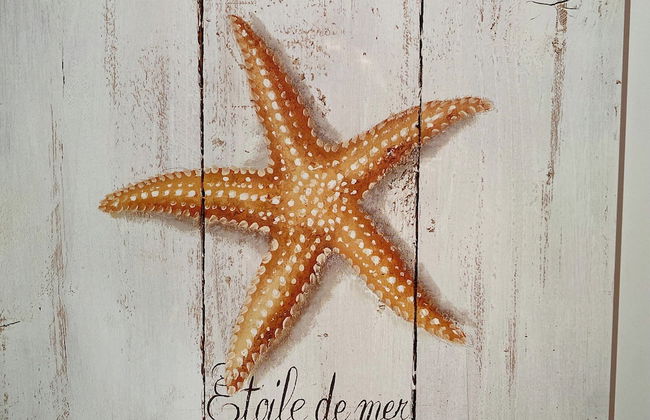 Apartment in Nieuwpoort With Sea Views - Photo 15