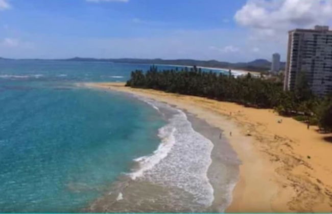 Gorgeous Beach Front Studio - Photo 13