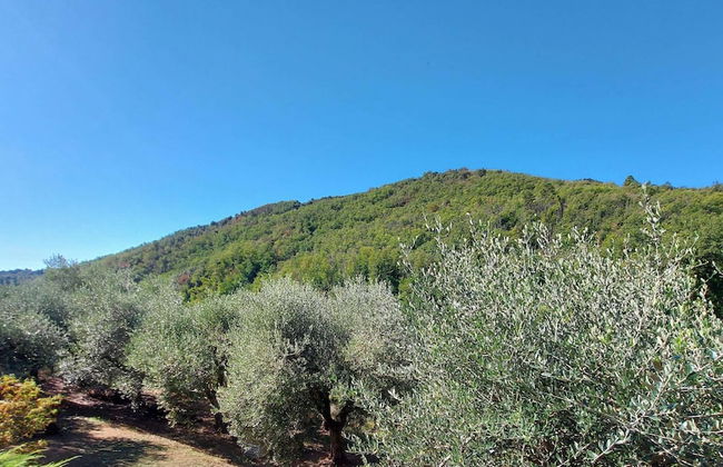 Holiday Home in Tuscany Near Lucca - Foto 25