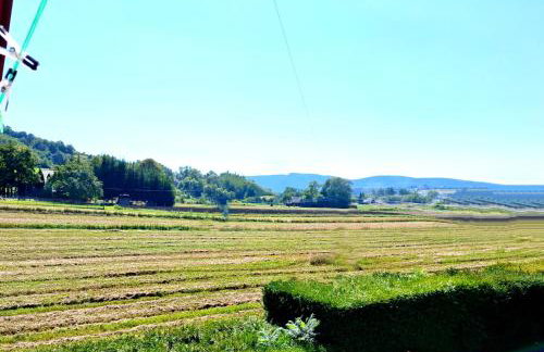 Nocleg Hotel Nad Stawami - Foto 21