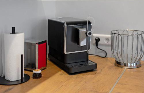 Breisgau Lofts - Nähe Europapark - Foto 3