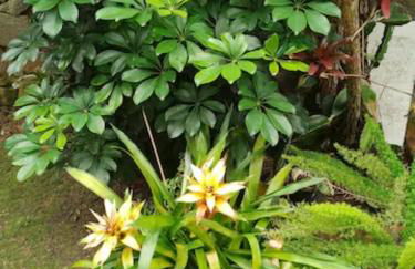 Cantinho da Vovó Regina - Foto 38