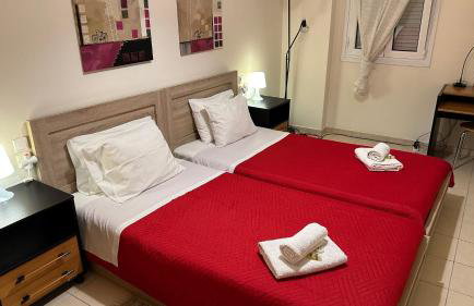 Patras Palm Tree - Foto 54