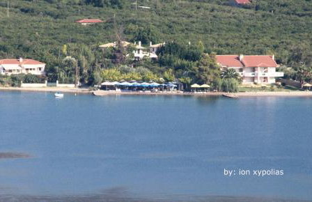 Athina EcoFarm - Foto 24