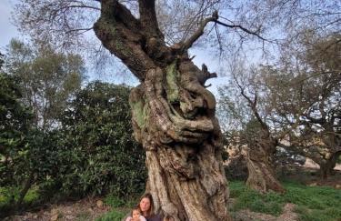 Trocito de Paraíso en la Sierra Espadán - Foto 14