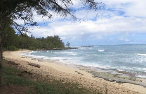 Elegant Turtle Bay Condo - Photo 13