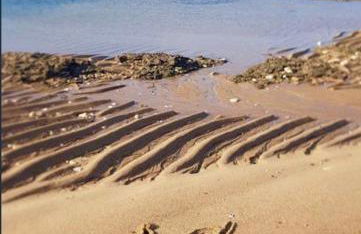 MAISON VERTBOIS jardin clos - 800m de la plage - Foto 28