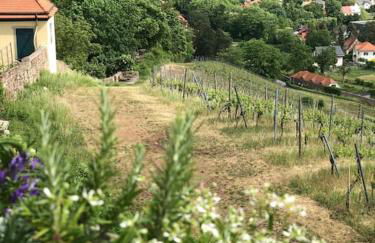 Wohlfühl-Apartment am Paradiesberg - Foto 3