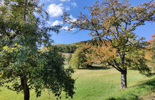 Gemütliches Fachwerkhaus Hessen Thüringen - Foto 18