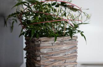 LA FERME D'ELISA - Foto 11