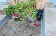 Villa Ružica - Photo 20