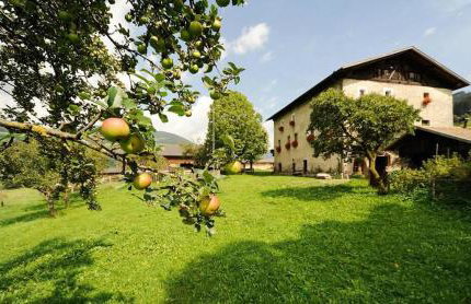 Moserhof Ferienwohnung Schartblick - Foto 29