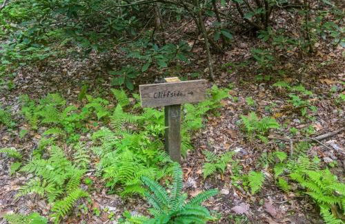 Beech Timber- 30 Acre Secluded Glamping in RRG - Foto 32