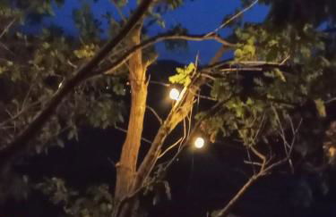 Casa nei 3 alberi, Molise - Foto 17