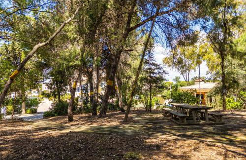 Bosque São José by Algarneto - Foto 15