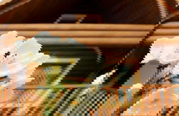 Dalia Barama - Photo 16