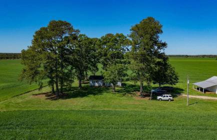 Pa's House Country Getaway on 350 acres - Photo 2