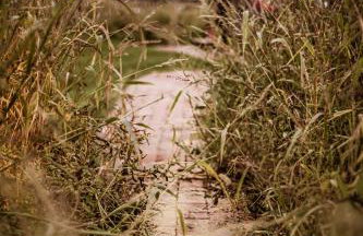 Kaszubski Dom Podcieniowy Bohema - Foto 20