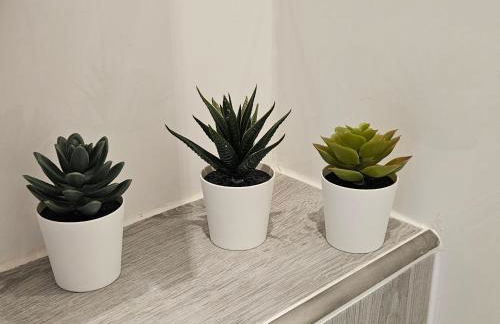 Race Yacht White Line - Foto 23