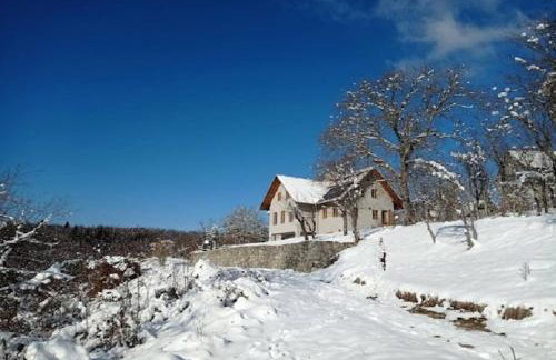 Holiday Home in Bunjevci with Sauna & Garden - Foto 41