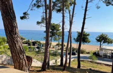 Dina Apartment - Foto 42