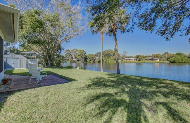 Smiling Dolphin - Foto 17