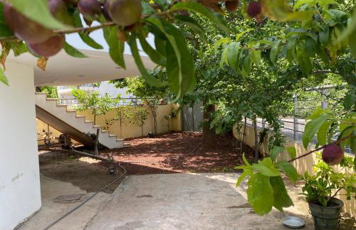 Homey Family ArtAki - Foto 33