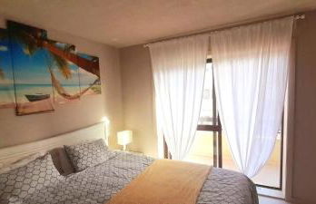 MindeloThePalm - Foto 40