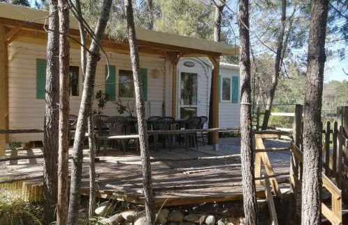 Résidence Santa - Foto 11