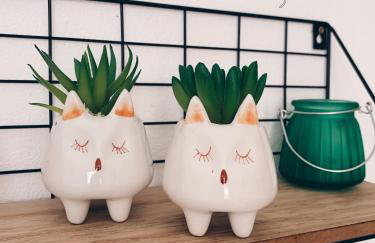 Miau de Pipa - Foto 25